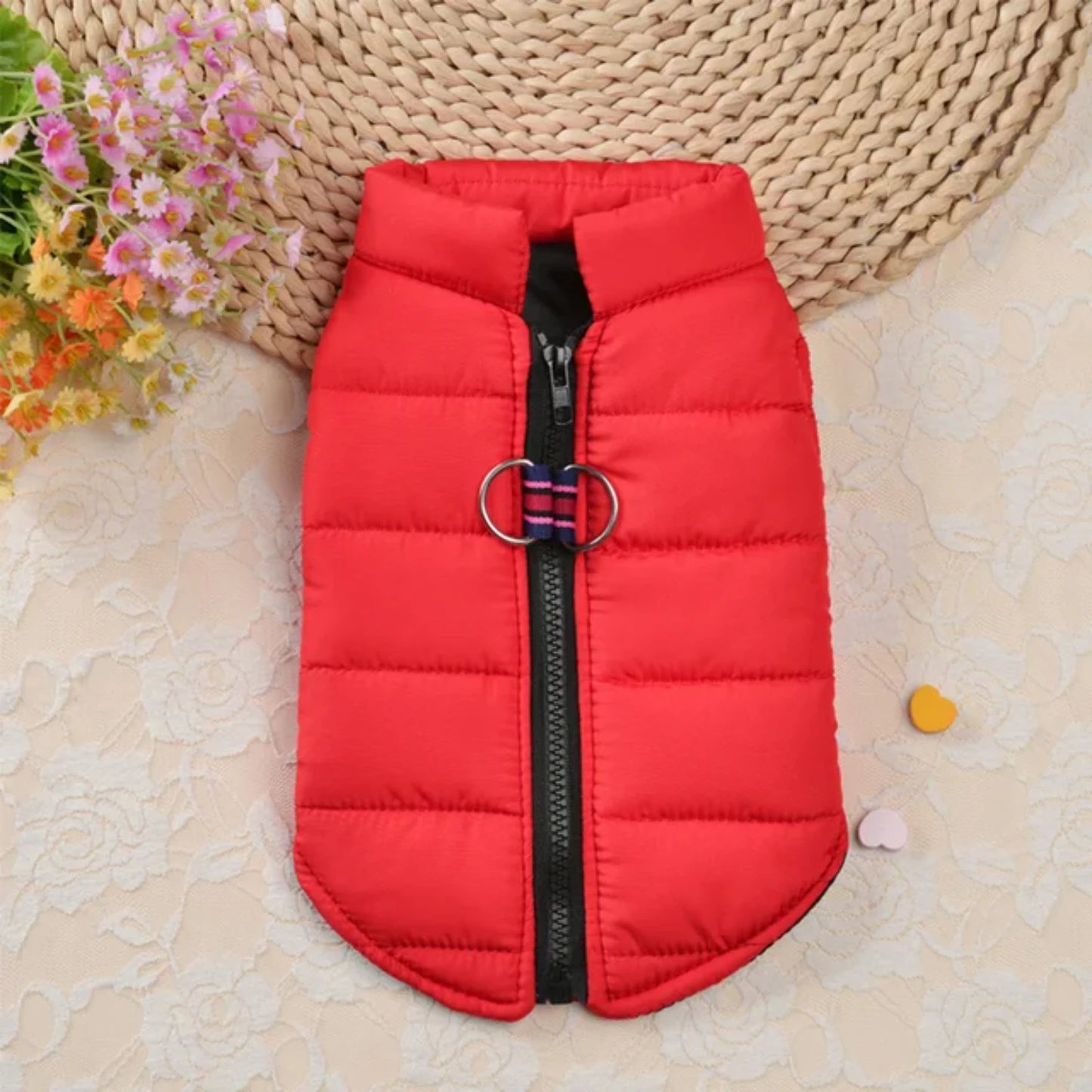 Warm and Cozy Cotton Dog Vest