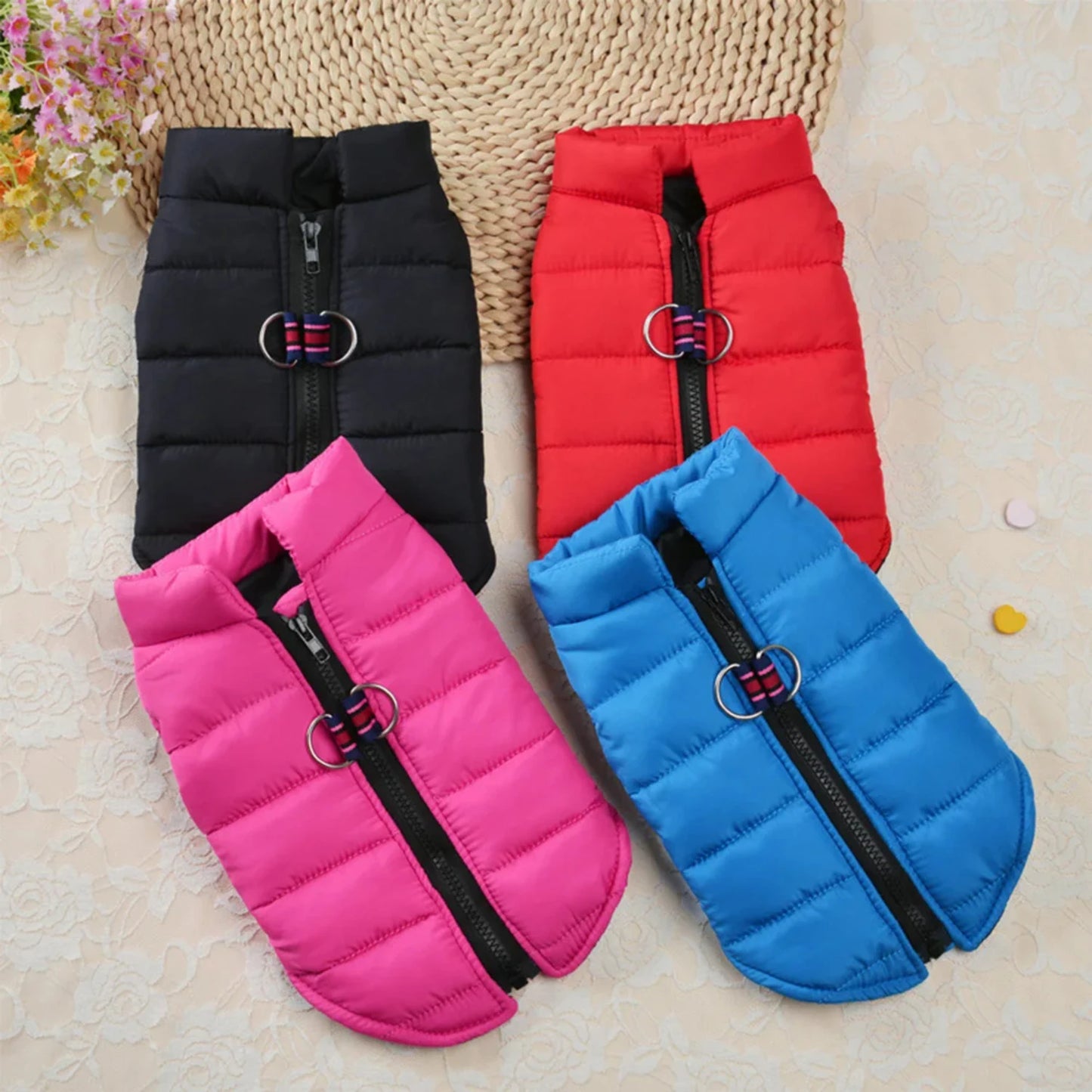 Warm and Cozy Cotton Dog Vest