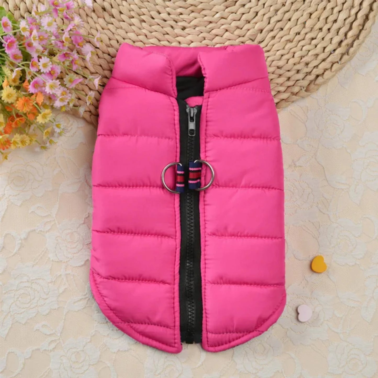 Warm and Cozy Cotton Dog Vest